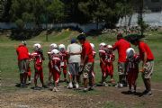 Linces vs Halcones Rojos
