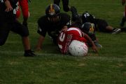 F1773