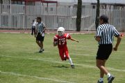 Linces vs Cuervos