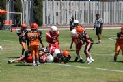 Linces vs Zorros