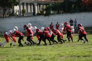D2355
