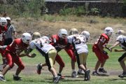 L6312