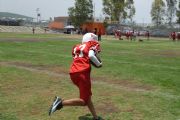 L3219