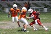 Q8249
