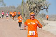 L14497