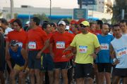 J16336