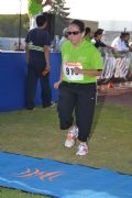 Y25798