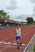 M26561
