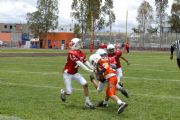 P28826