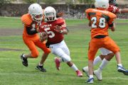 M30115