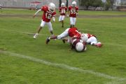 M34817