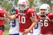 O40566