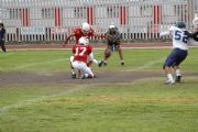 S41419