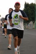 H53253