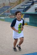Q51991