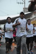 P91428