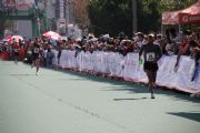 T89554