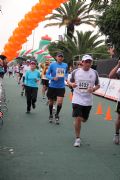 V86065