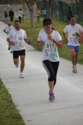 Z106067