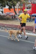U117608