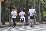 Y136211