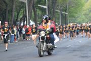 H159181