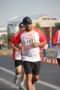 P181646