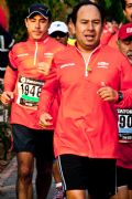 V203986