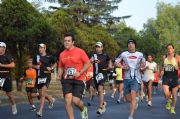 P201043