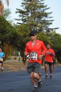 Z200897