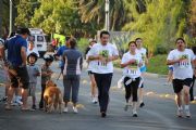 N209416