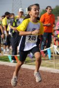 K213325