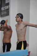 C217499