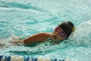 R219463