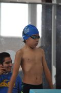 V217791