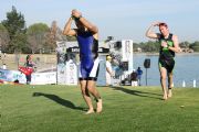 O229505