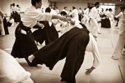 O231291