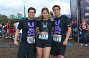 V254786