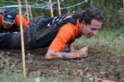 Z243918