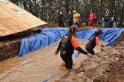 X245767