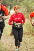 Y252731