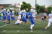 T258816