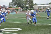 A258522
