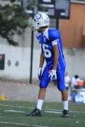 A256185