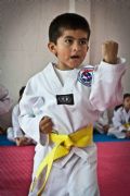 G260236