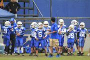 Q271884
