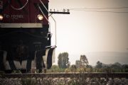 Z284841