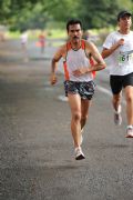 G293066