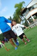 V304446