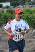 M310662